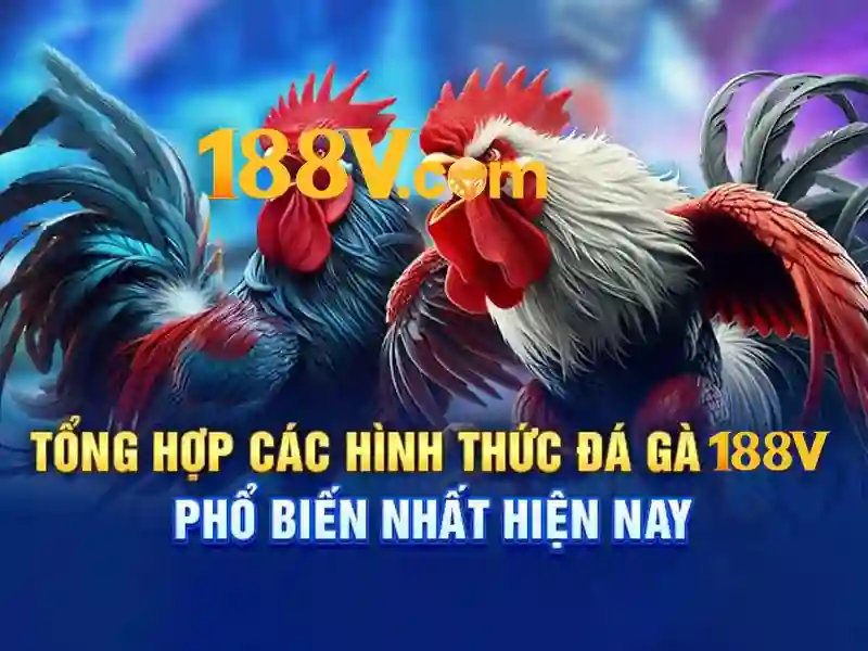 app 188v - Khám phá nền tảng và trải nghiệm nổi bật