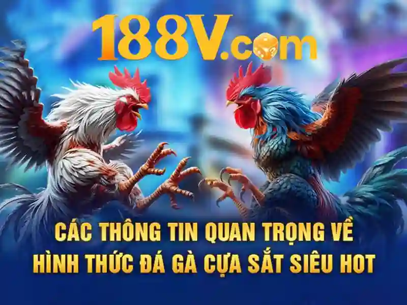 cá cược thể thao 188v – Mở ra thế giới đam mê và cơ hội