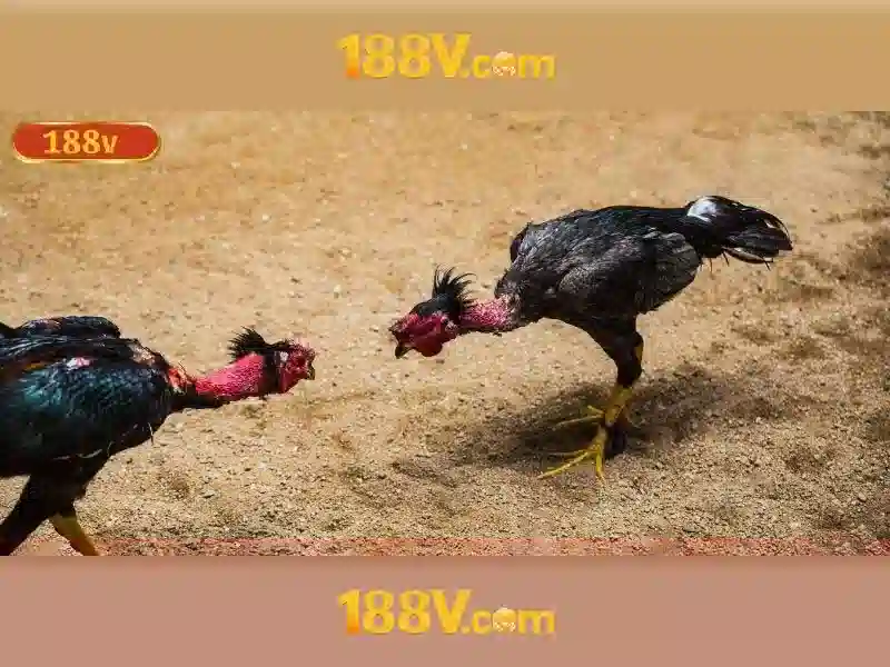 https://traceydesignsinc.com/images/text/188v/188v-text2603121153.webp
