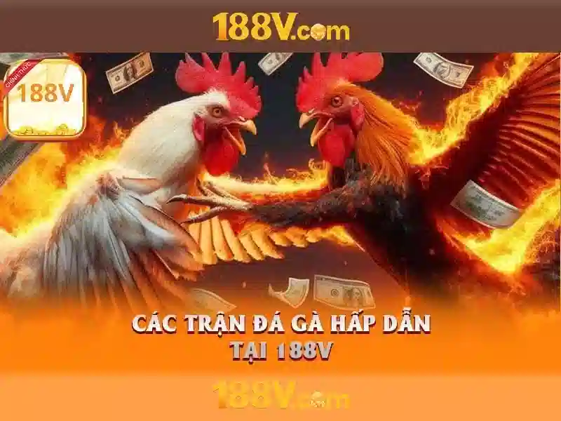 188v và hành trình khám phá