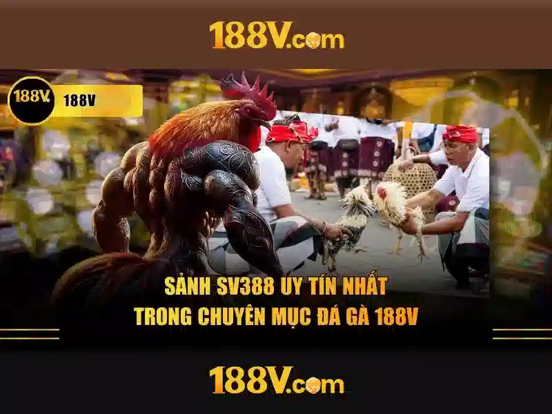 Khám phá 188v: một ký hiệu đầy bí ẩn