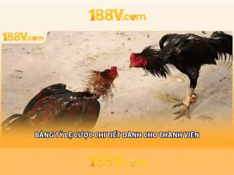 188v apk – Trải nghiệm đỉnh cao với 188v com app