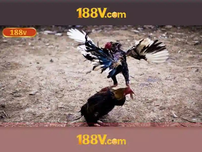 188v: một huyền thoại âm nhạc truyền miệng