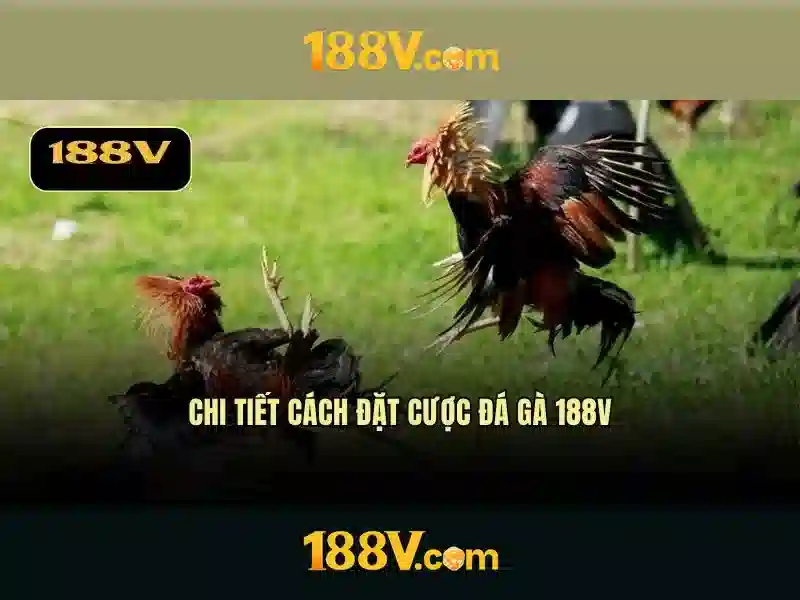 https 188v poker: Tổng quan, trải nghiệm và cạnh tranh