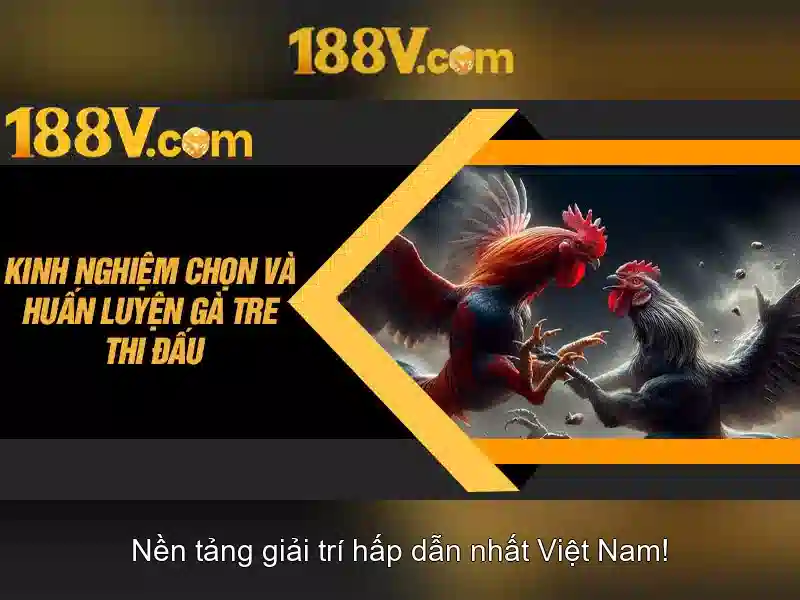 188v: khái niệm và hành trình