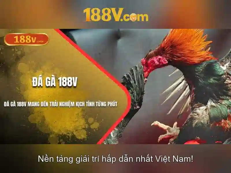 Khái niệm 188v trong thế giới ngày nay