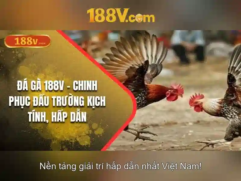 188v - một hành trình âm thanh và ánh sáng