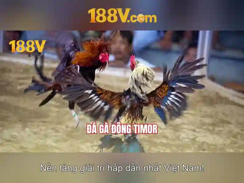 188V: An toàn, ứng dụng và ý nghĩa